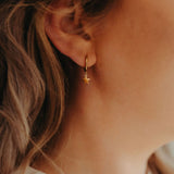 Gold Mini Star Hoops by Katyb