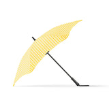 Blunt Classic Lemon and Honey 2024