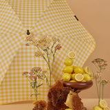 Blunt Classic Lemon and Honey 2024