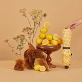 Blunt Metro Lemon and Honey 2024