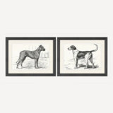 Dog Wall Art 2 Pieces