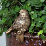 Hanging Bird Decor Gold Tail Down