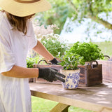 Blue Floral Herb Pot Small