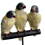 RIO BIRDS ON PERCH