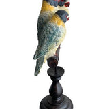 RIO BIRDS ON PERCH