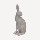 HAROLD THE HARE TURNING GREY