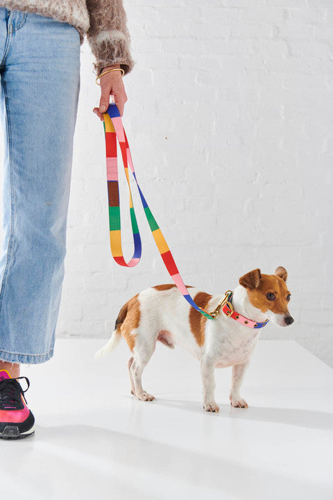 Kip and co dog collar best sale