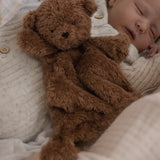 Little Ted Comforter Toy