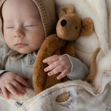 Squeaky the Sweet Comforter Toy