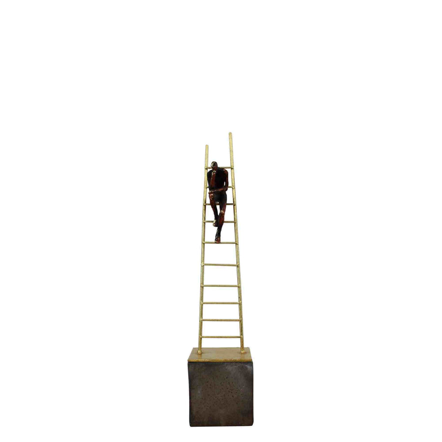 Man Sitting On Ladder