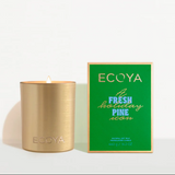 Fresh Pine Goldie Candle Holiday Collection by Ecoya