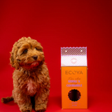 Dog Grooming Set Neroli + Chamomile Holiday Collection by Ecoya