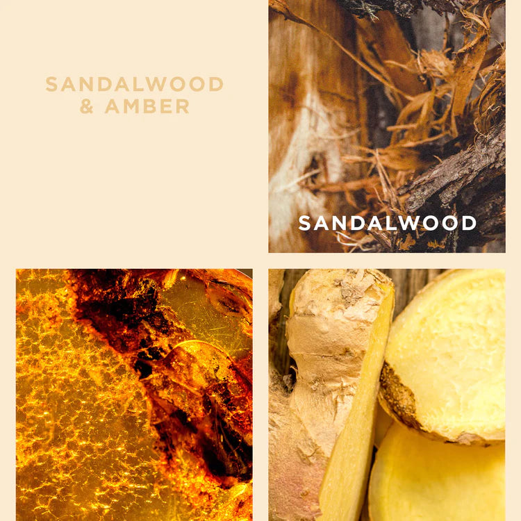 Sandalwood and Amber Luxe Body Gift Set Holiday Collection