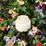 Soy Wax Melts - Sweet Pea & Jasmine by Ecoya
