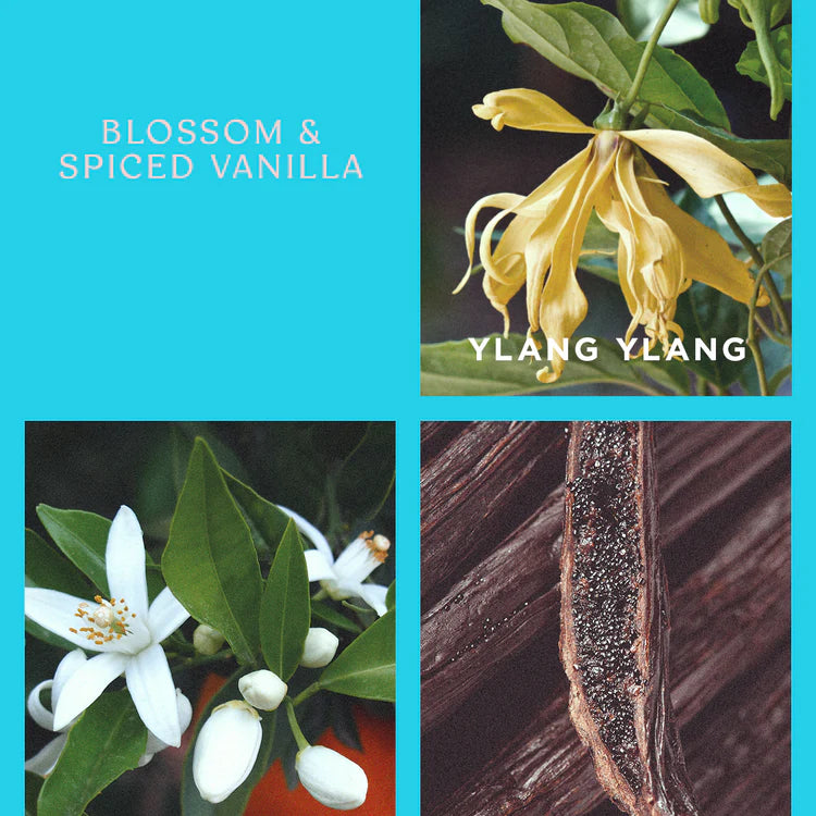 Blossom and Spiced Vanilla Goldie Candle Holiday Collection