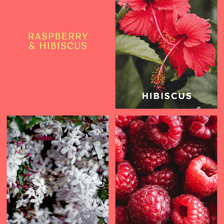 Raspberry and Hibiscus Mini Diffuser Holiday Collection