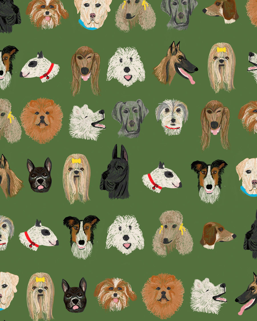 Dog Park Dog Collar Small