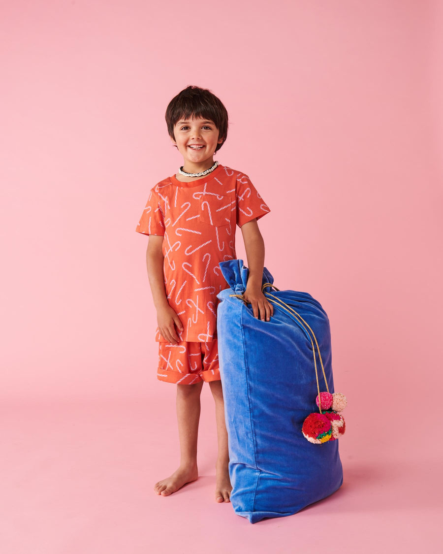 Ocean Velvet Santa Sack
