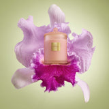 Glasshouse Fragrances 380g Triple Scented Mothers Day Candle Radiance in Bloom