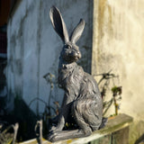 Country Hare Standing Grey