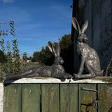 Country Hare Standing Grey