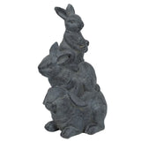 Rabbit Family by Rembrandt