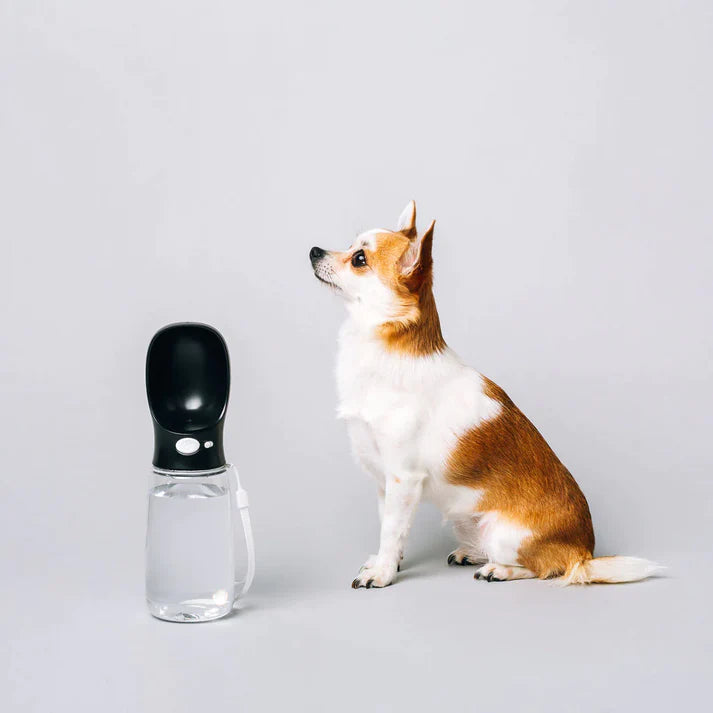 Original White Thirsty Dog Bottle