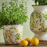 Botanical Lemon Pot Large