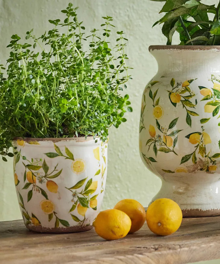 Botanical Lemon Pot Large