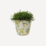 Botanical Lemon Pot Large