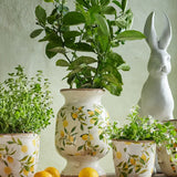 Botanical Lemon Urn