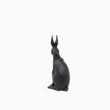 Harold the Hare Turning Black