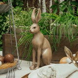 Harold The Hare Small Brown by French Country