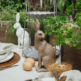 Harold The Hare Turning Small Brown by French Country