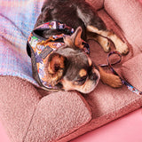 Polly Boucle Sherpa Dog Blanket by Kip and Co