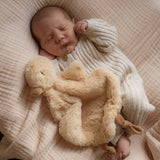 Quacks the Comforter Toy