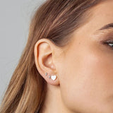 Stolen Heart Earrings