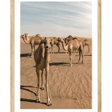 A2 NATURAL FRAMED - SMILEY CAMEL