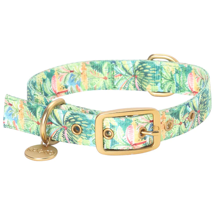 COLOMBO DOG COLLAR by Kip and Co