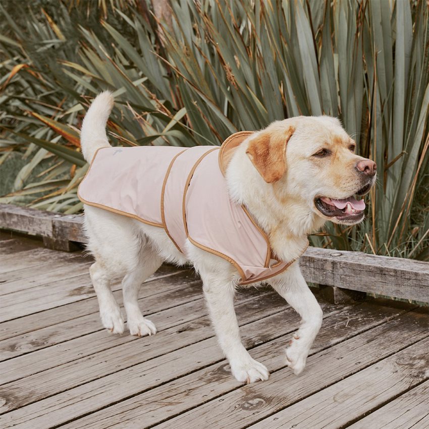 RUFF JACKET Dusty Pink |The Decor Room NZ | New Zealand